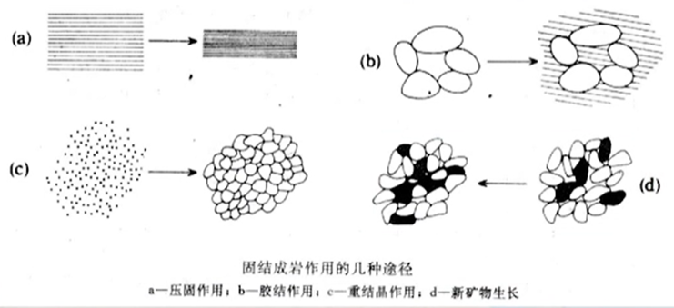 固结成岩