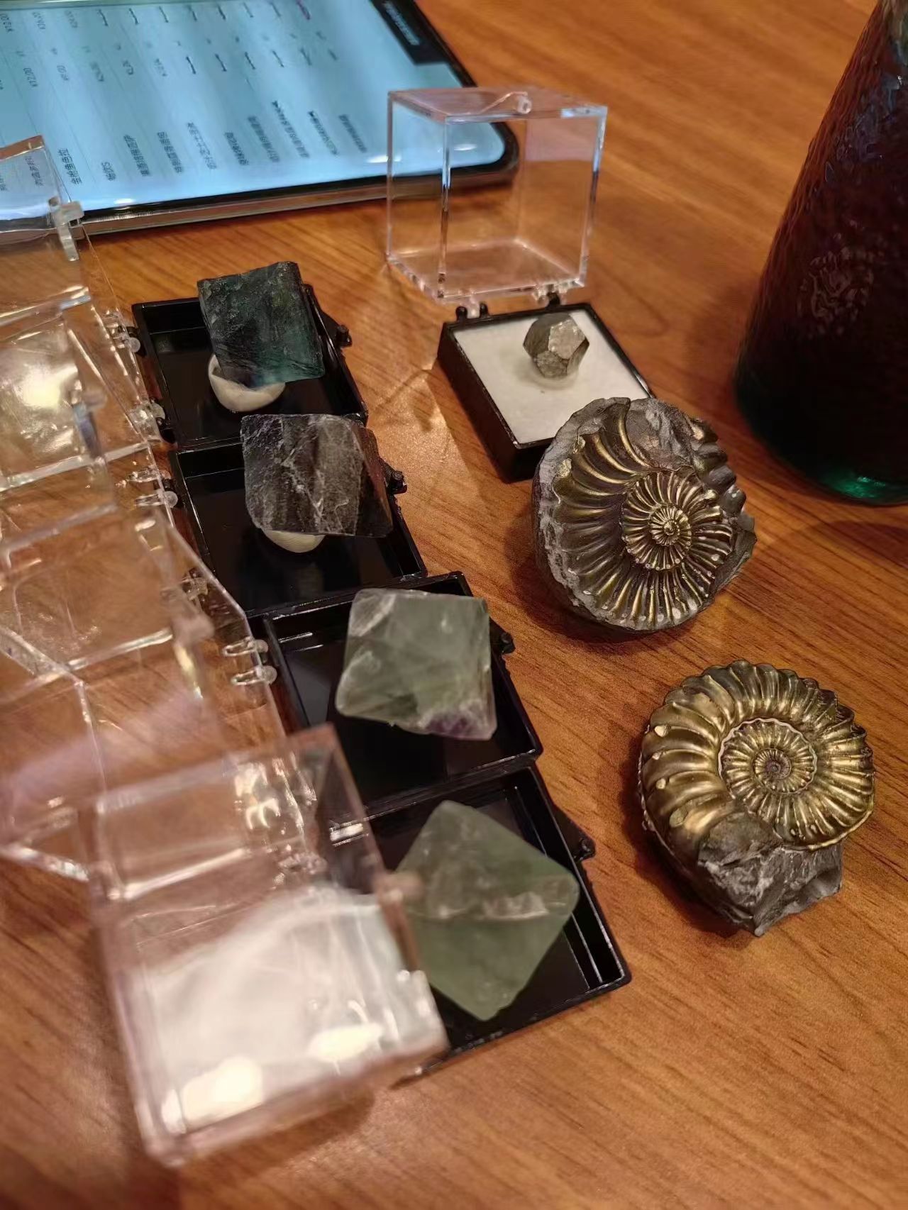 Pyrite and Fluorite