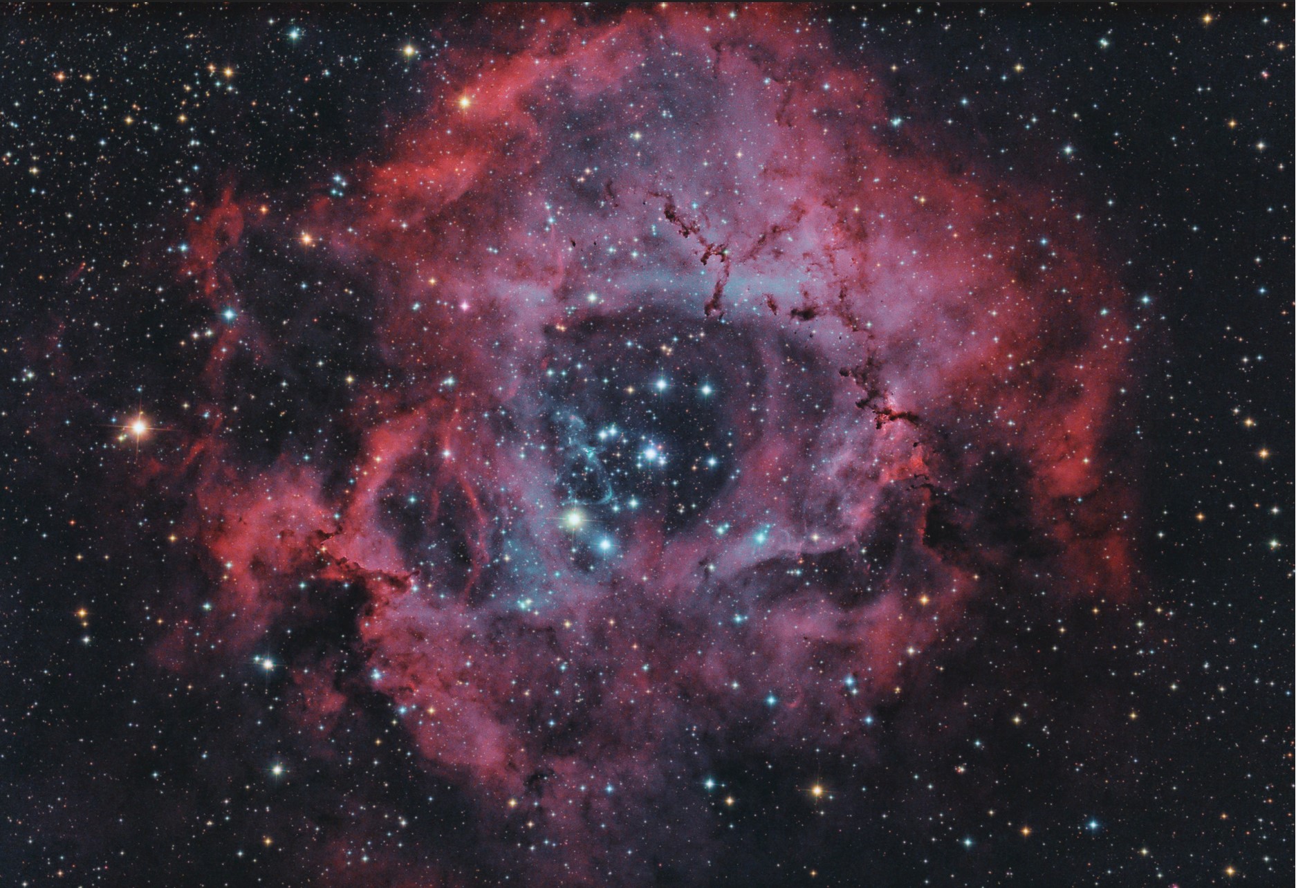 Rosy nebula